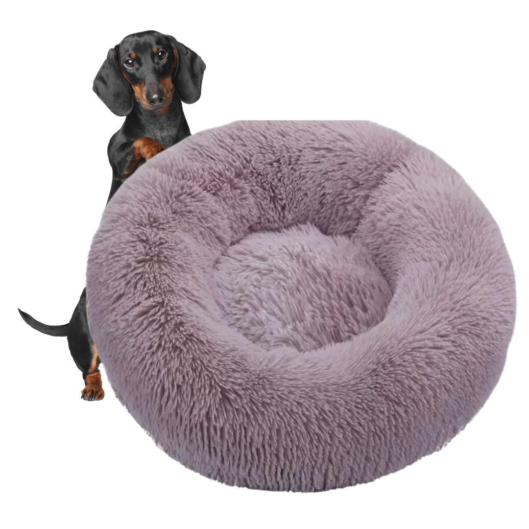 www.doxie.us-WoofLuxe-Dachshund-Donut-Bed