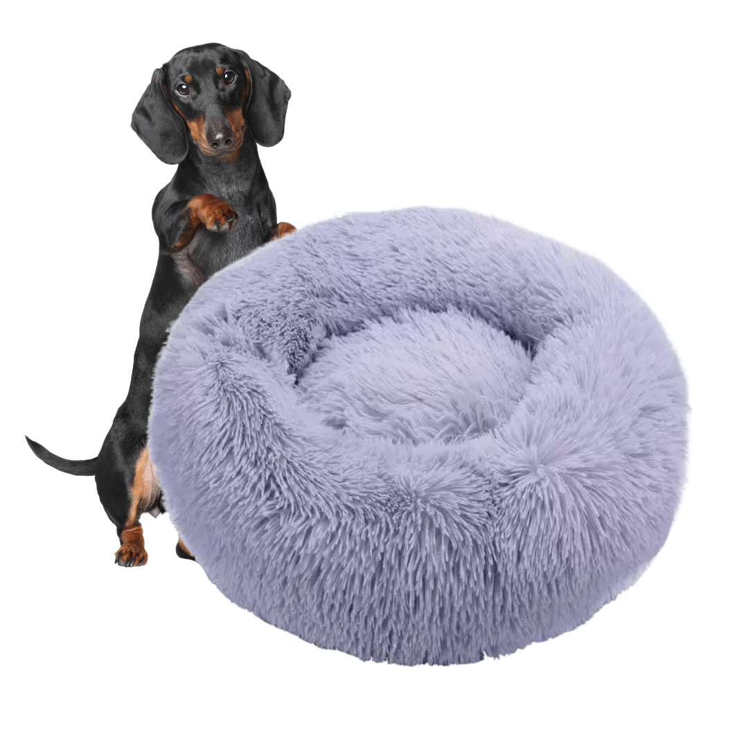 www.doxie.us-WoofLuxe-Dachshund-Donut-Bed