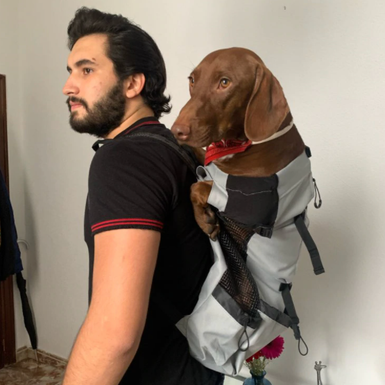 Porta mochila para perros salchicha