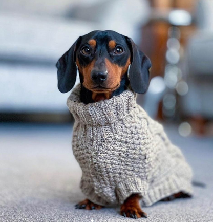 Cable-knit turtleneck winter sweater for dachshunds, view 6
