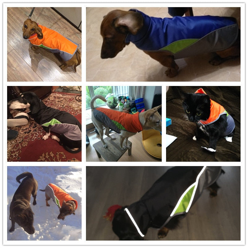 Dachshund Waterproof Coat Jacket With Reflective Trim - Dachshund Shop.jpg