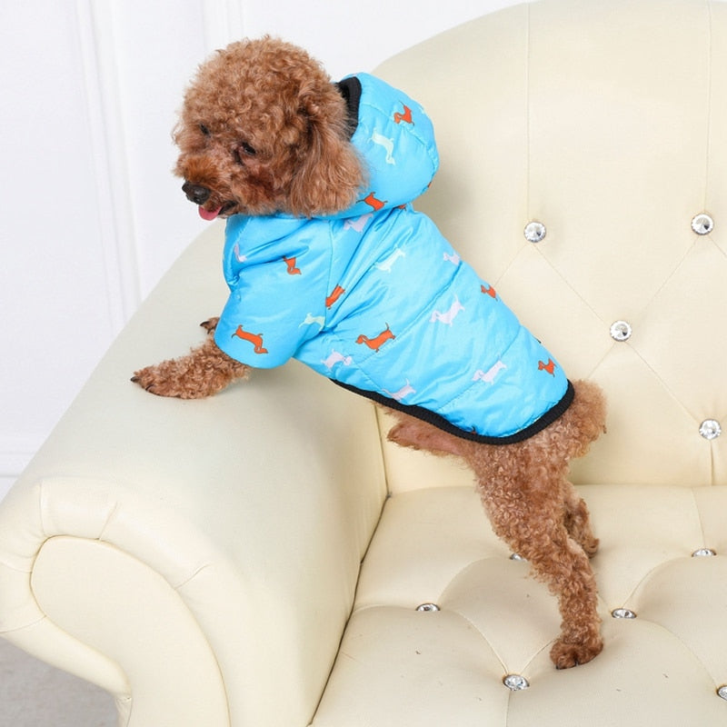 Dachshund Winter Coats Waterproof Jacket for Puppy - Dachshund Shop