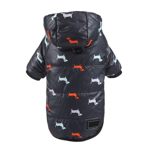 Dachshund Winter Coats Waterproof Jacket for Puppy - Dachshund Shop