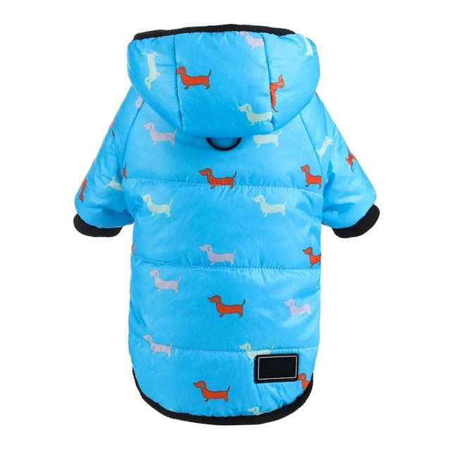 Dachshund Winter Coats Waterproof Jacket for Puppy - Dachshund Shop