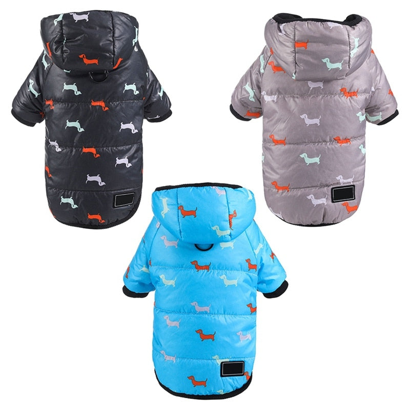 Dachshund Winter Coats Waterproof Jacket for Puppy - Dachshund Shop