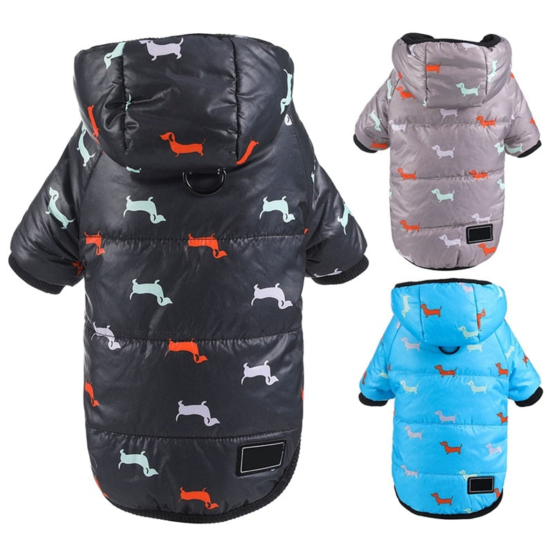 Dachshund Winter Coats Waterproof Jacket for Puppy - Dachshund Shop