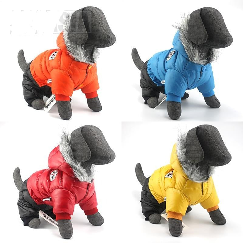 Dachshund Winter Jacket - Dachshund Shop