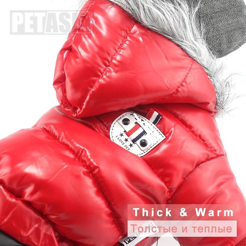 Dachshund Winter Jacket - Dachshund Shop