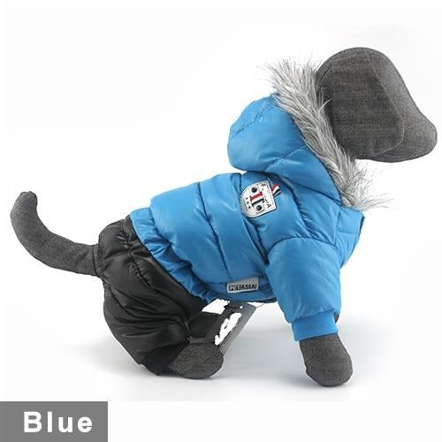 Dachshund Winter Jacket - Dachshund Shop