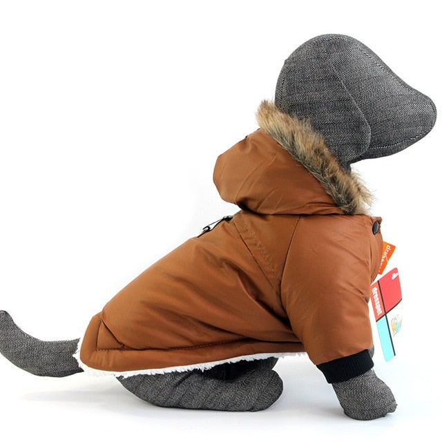 Dachshund Winter Coat for Extreme winter- Dachshund Shop