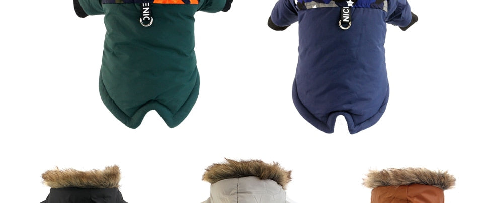 Dachshund Winter Coat for Extreme winter- Dachshund Shop