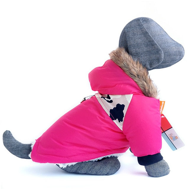 Dachshund Winter Coat for Extreme winter- Dachshund Shop