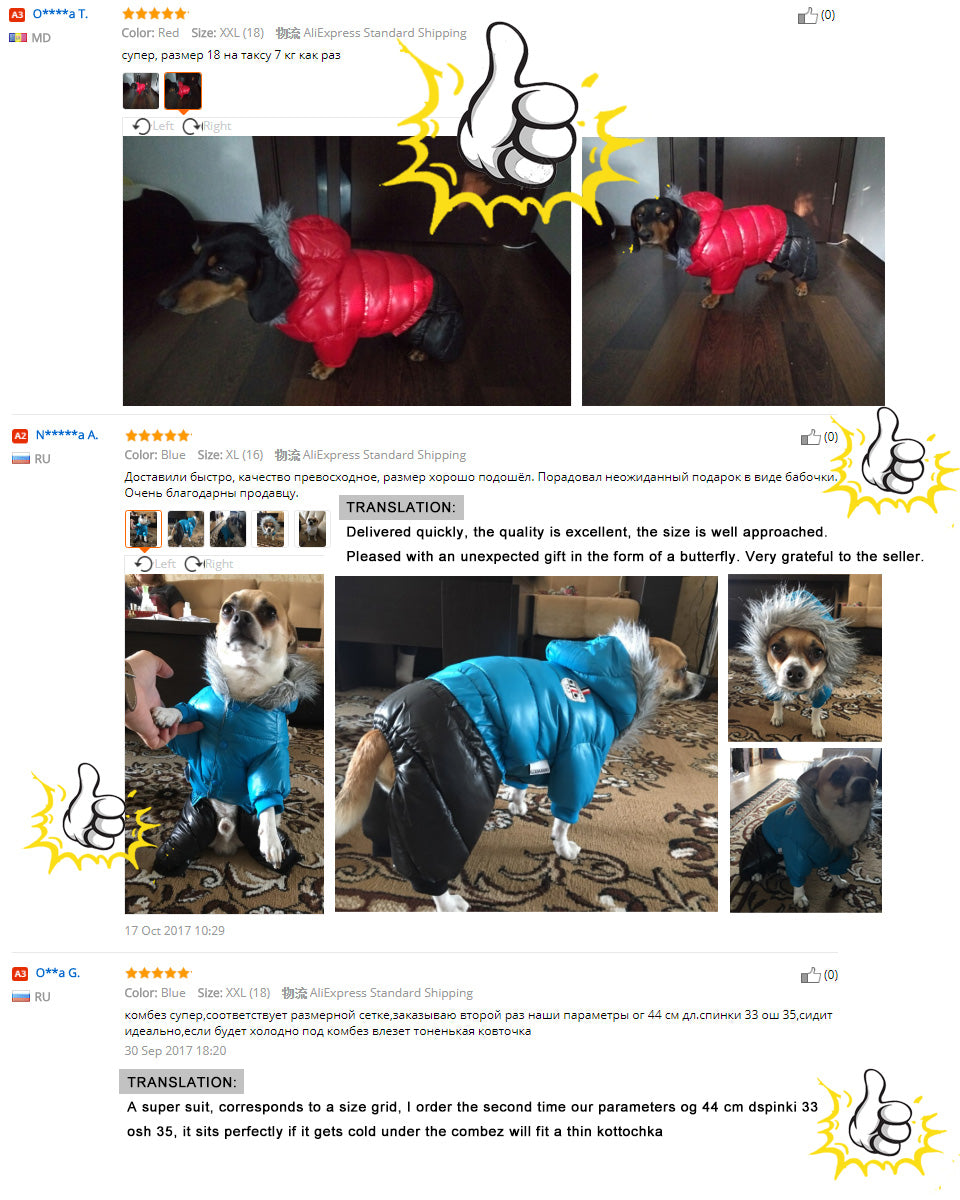 Dachshund Winter Jacket - Dachshund Shop