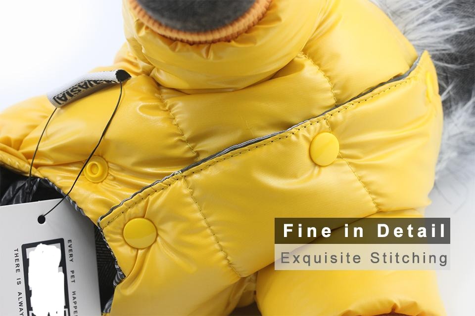 Dachshund Winter Jacket - Dachshund Shop