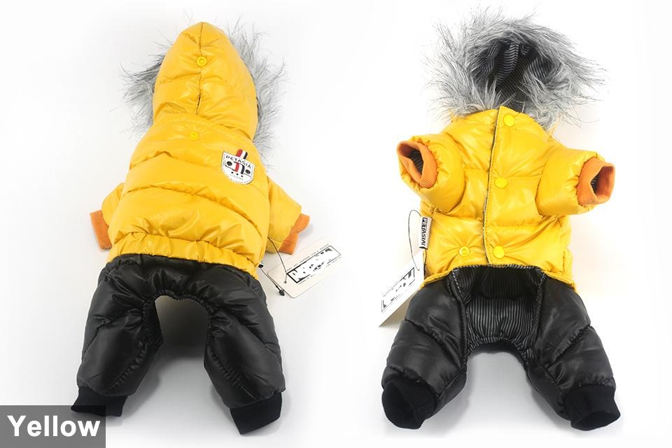 Dachshund Winter Jacket - Dachshund Shop