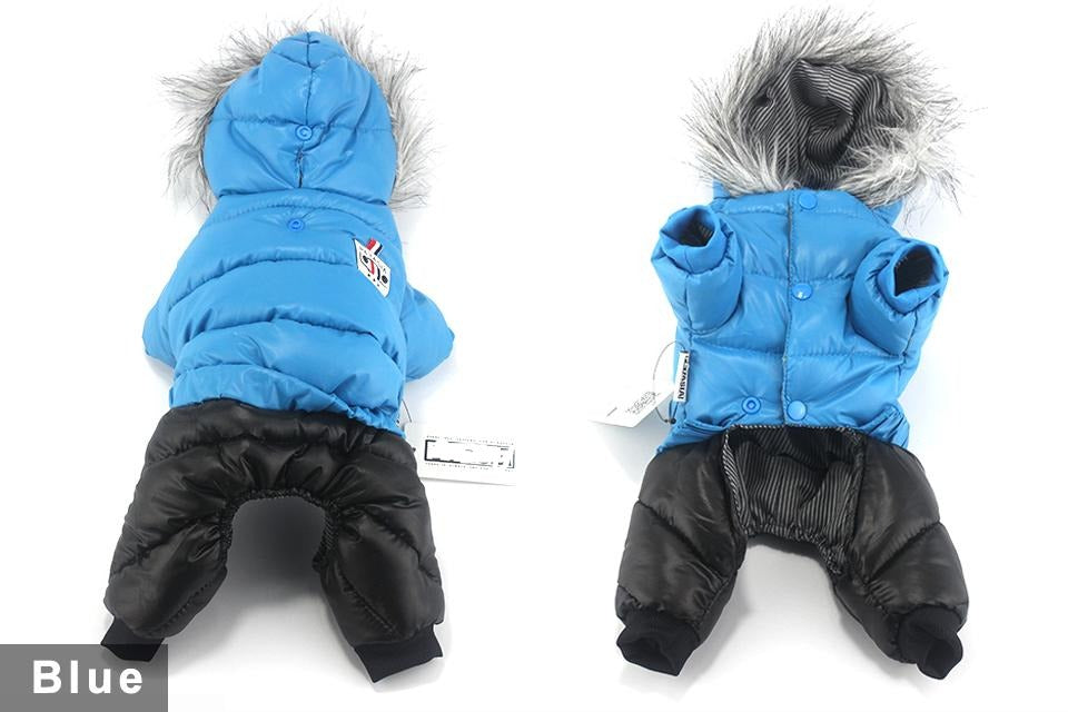 Dachshund Winter Jacket - Dachshund Shop