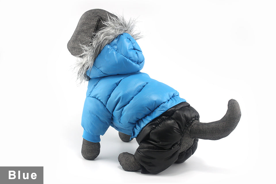 Dachshund Winter Jacket - Dachshund Shop