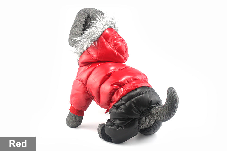 Dachshund Winter Jacket - Dachshund Shop